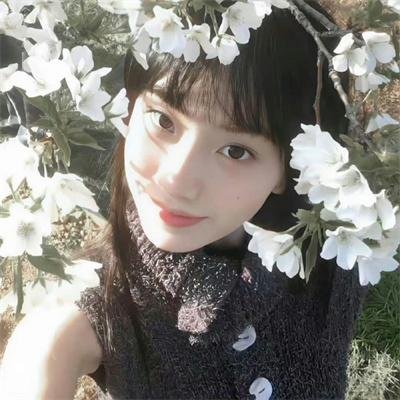 惊弓之鸟